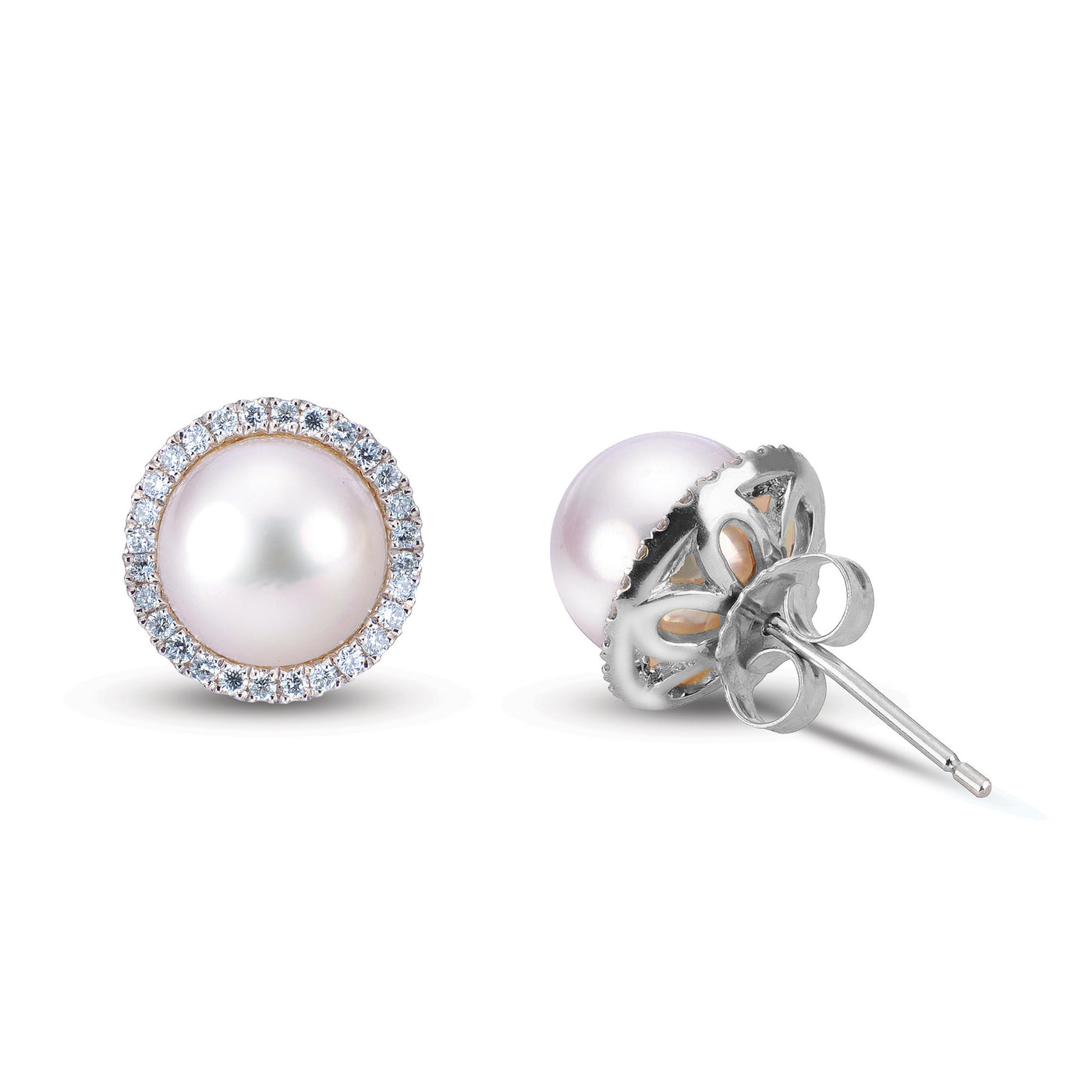 14KT White Gold Akoya Pearl Earring
