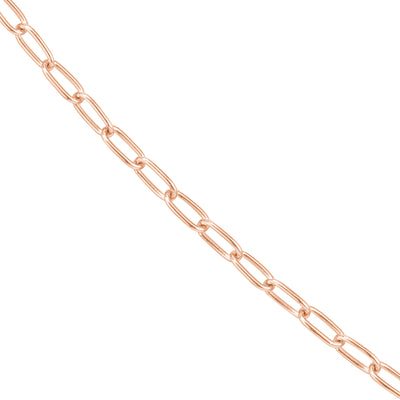 2.45mm Paper Clip with Lobster Lock